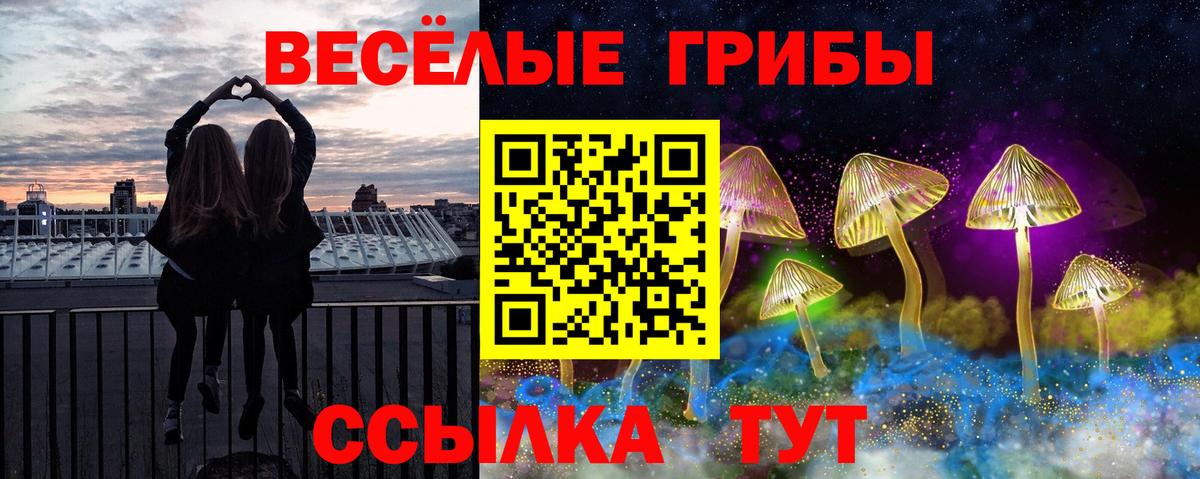 Псилоцибиновые грибы мицелий Петропавловск-Камчатский